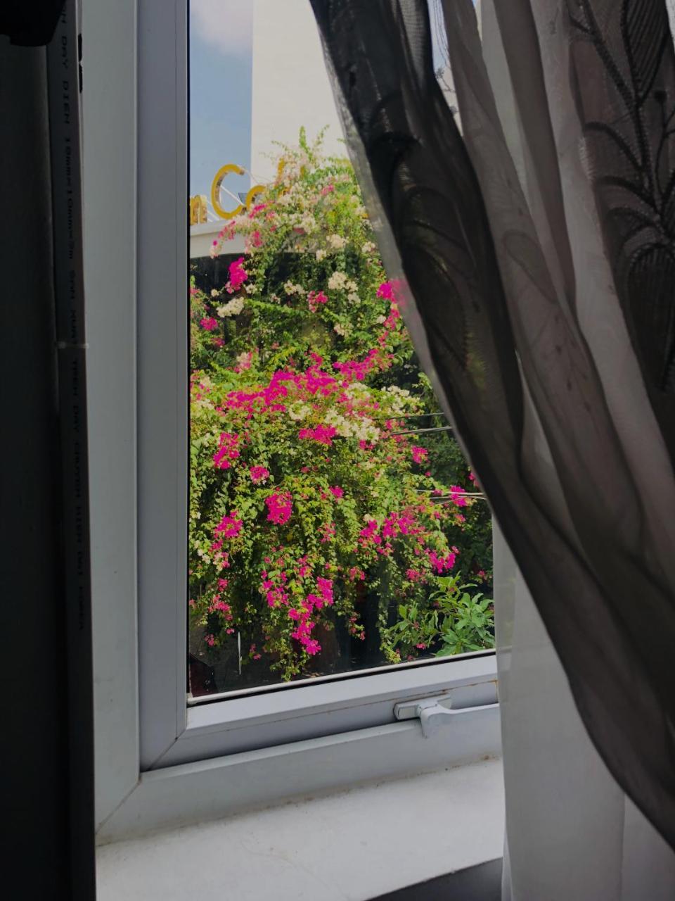 Tuong Van Homestay ดานัง ภายนอก รูปภาพ